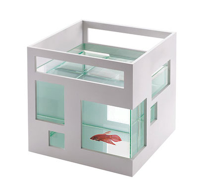 Condo Interior Design on Art   Decor   Fish Condo   Busyboo