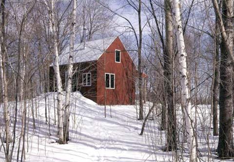 modern-cabin-practice-house-4