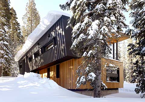 modern-cabin-suagrbowl1 modern-cabin-suagrbowl1