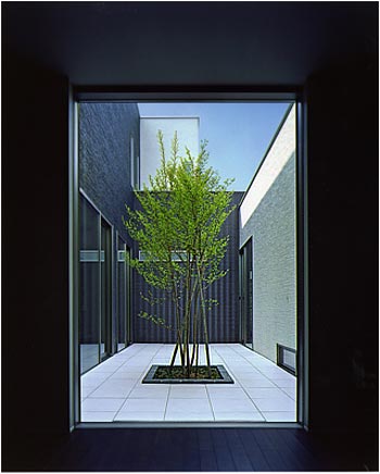modern-japanese-house-t6