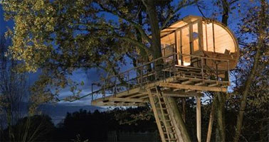 tree-house