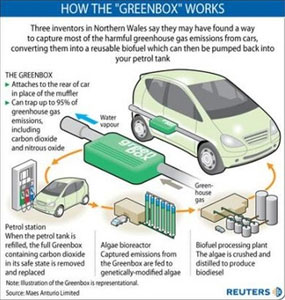 algae biofuel greenbox - Algae biofuel Greenbox - man & nature fight for biofuel