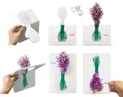 instant-blossom-popup-card