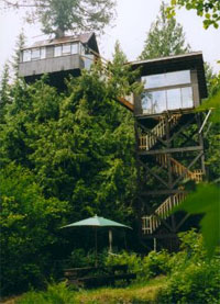 cedar creek treehouse - Cedar Creek Treehouse