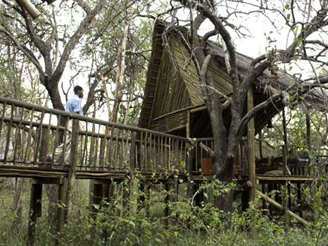 african-treehouse-lodge
