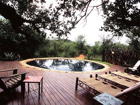 african treehouse lodge4 - African treehouse lodge