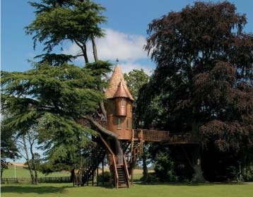 amazon-treehouse
