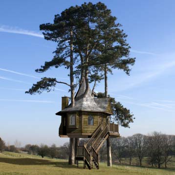 amazon treehouse - A Fairytale Treehouse