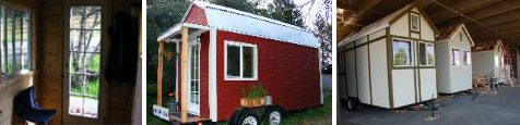 small home galapagos - Small Tortoise Shell Home