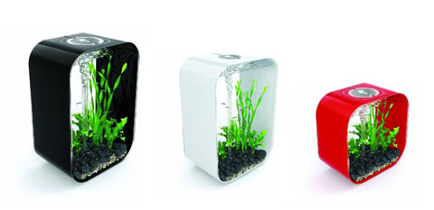 biorb life aquariums 2 - BiOrb Life Aquariums: Go Fish!