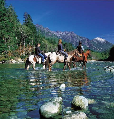 boutique-hotel-clayoquot-8