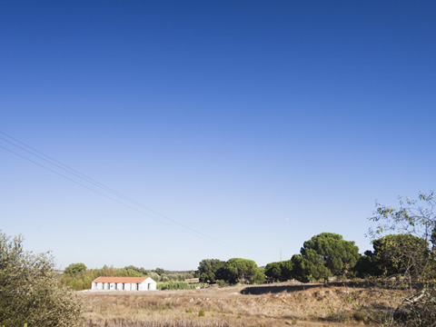 converted-stables-house-8