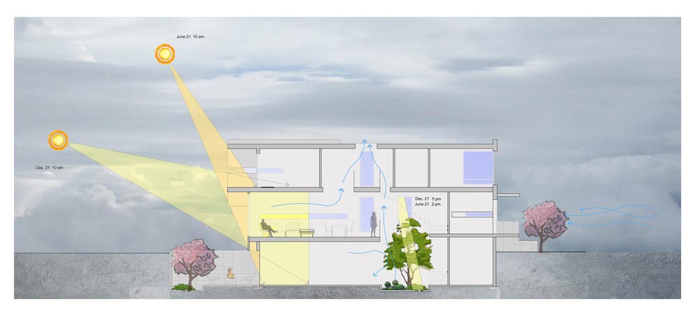 courtyard garden house plan ara - Garden Void House