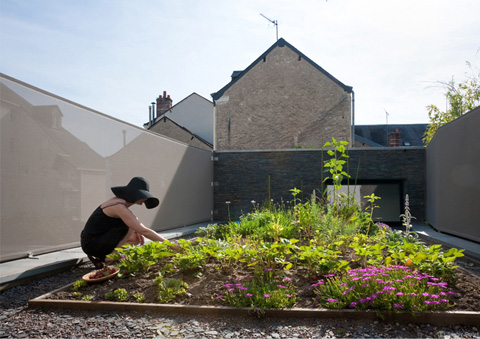 courtyard-house-fertile-8