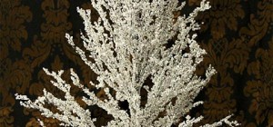 crystal ice tree2 300x140 - crystal ice tree: a dazzling centerpiece for christmas