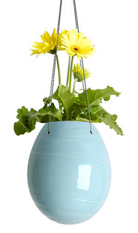 decorative planter egg - Egg Planters