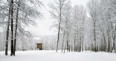 delta-shelter-cabin-1