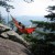 doublenest hammock eno 51 50x50 - ENO DoubleNest Hammock: Chilling Out Time