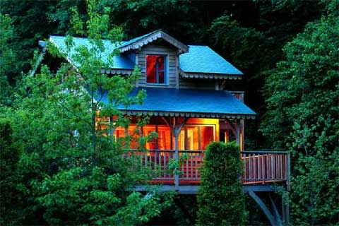 exceptional-treehouses-book-2