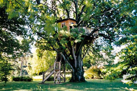 exceptional-treehouses-book-3