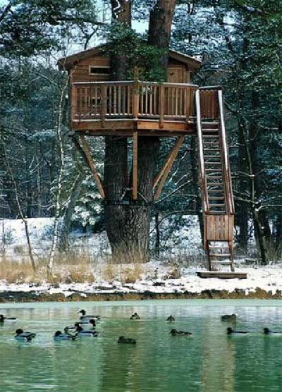 exceptional-treehouses-book-6