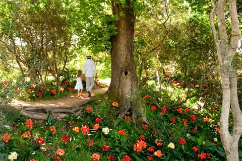 farm-hotel-babylonstoren-g1