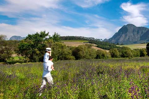 farm-hotel-babylonstoren-g4