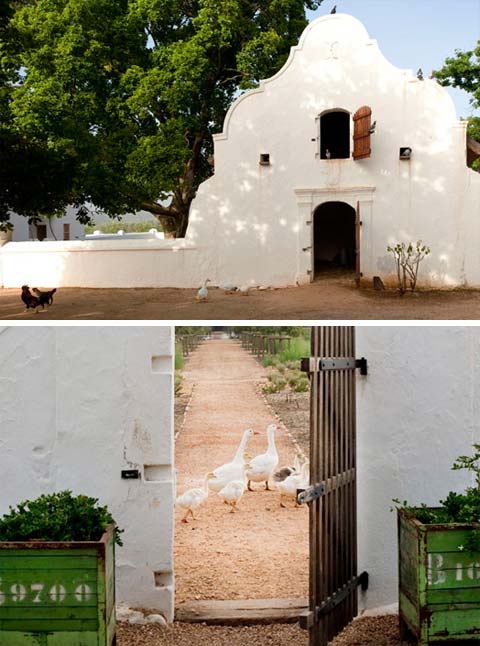 farm-hotel-babylonstoren