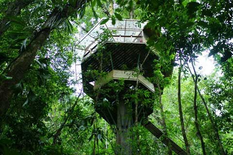 finca-bellavista-treehouse-1