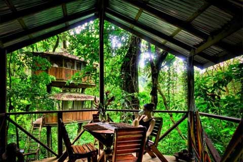 finca-bellavista-treehouse