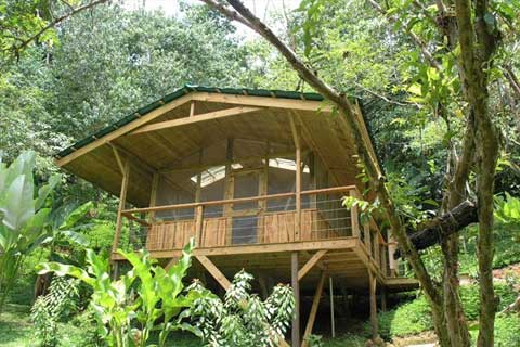 finca-bellavista-treehouse5