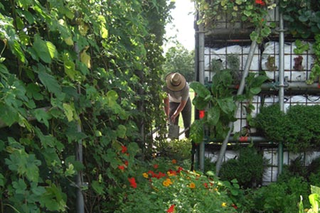 garden-shed-green-roof-2