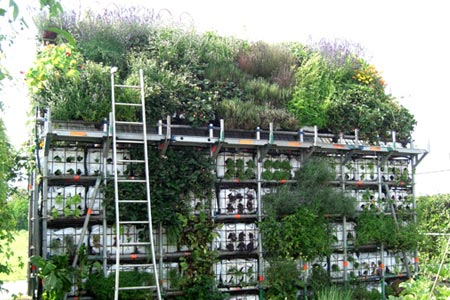 garden-shed-green-roof6