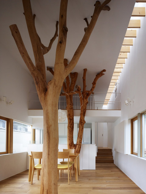 garden-tree-house