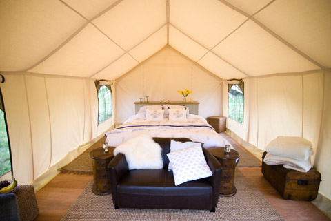 glamping-popup-hotel-4