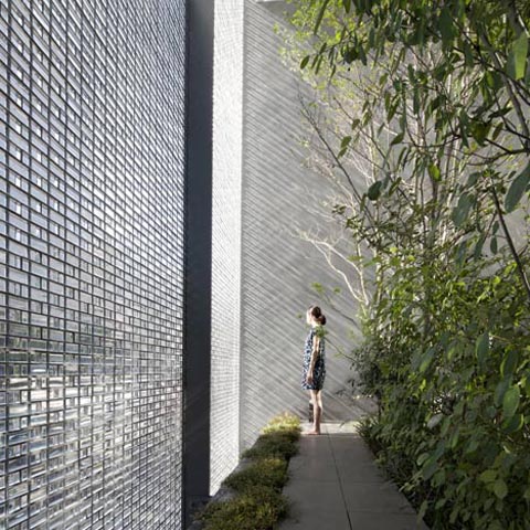 glass-wall-house-4