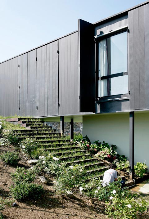 green-roof-house-os4