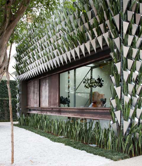 green-walls-firma-casa