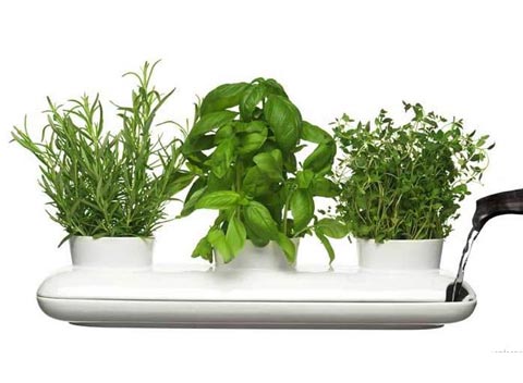 herb-garden-pot-sagaform-2