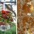 holiday decor sparkly2 50x50 - a timeless collection of shiny sparkly things