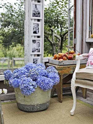 home-decor-shed-makeover-5