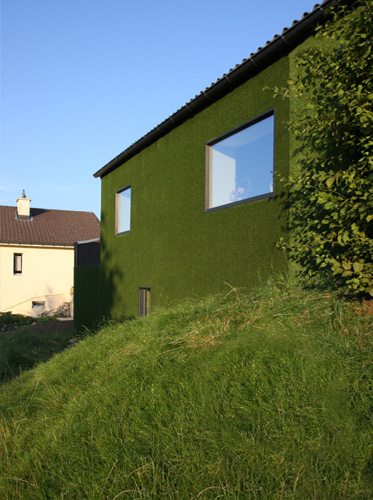 house-renovation-grass-db