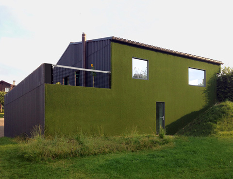 house-renovation-grass-db3