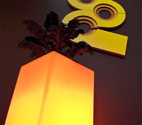 illuminated-planter-rotoluxe-5