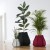 indoor planter atntcs5 50x50 - Urban Garden: Bag It Up