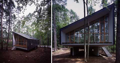 japanese forest house - The Forest House