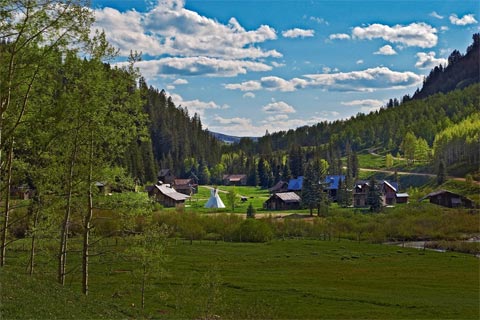 log-cabins-dunton-1