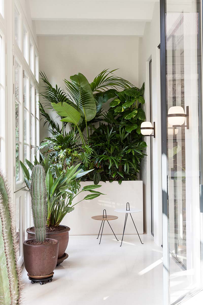 modern apartment design plants - Argentona Apartment