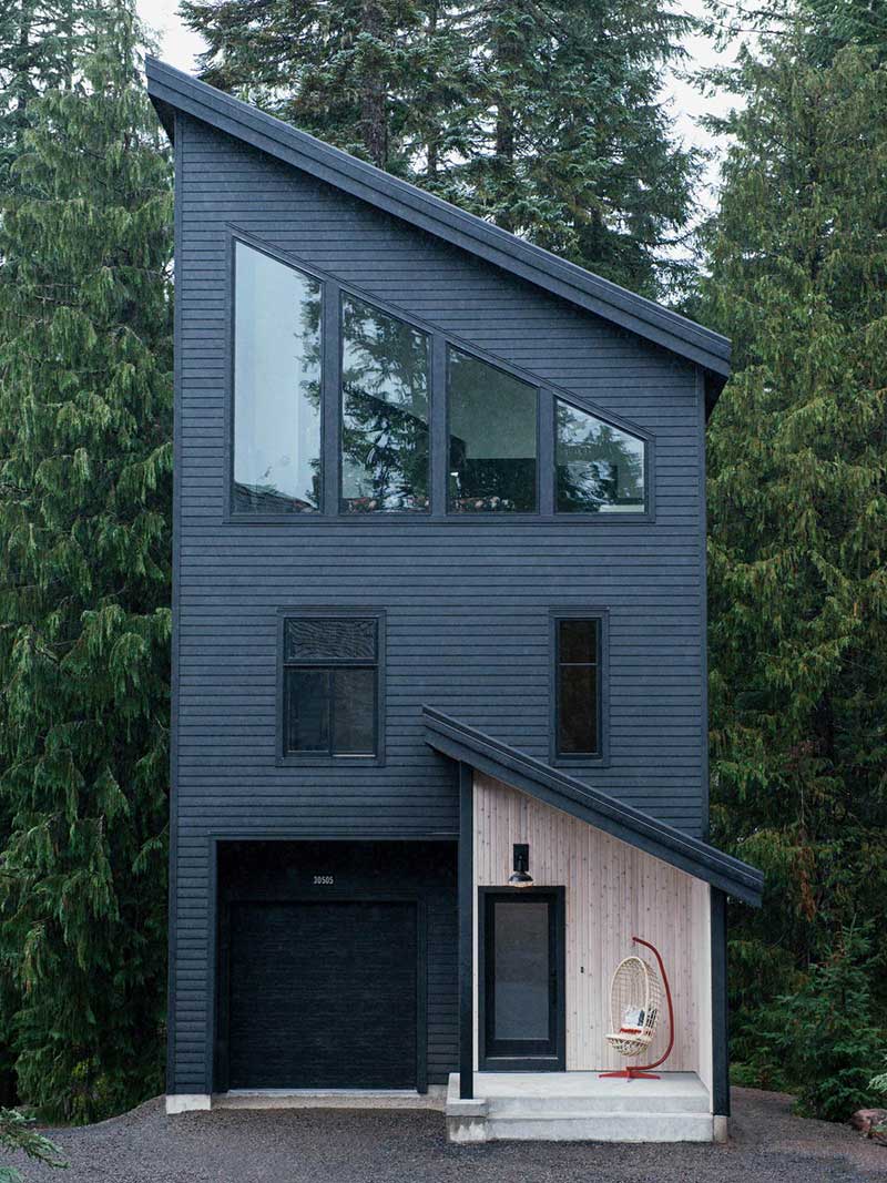 modern cabin design cw - Alpine Noir Chalet