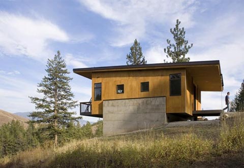 modern-cabin-pine-1
